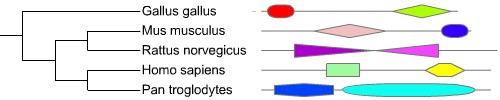 Protein domains